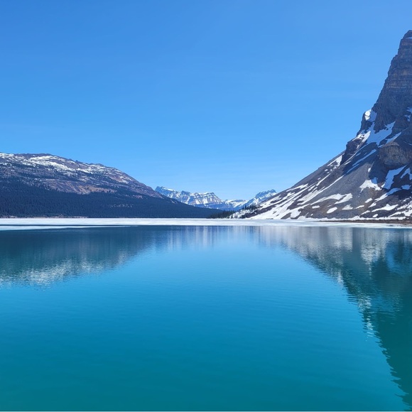 Meet your Posher, Maria - Picture 1 of 1